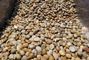 黄色鹅卵石5-8cm